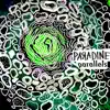 paradine - Parallels